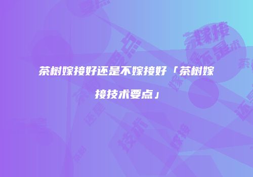 茶树嫁接好还是不嫁接好「茶树嫁接技术要点」