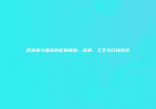普洱茶与黑茶的区别解析：原料、工艺与口感对比