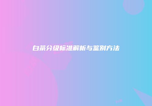 白茶分级标准解析与鉴别方法