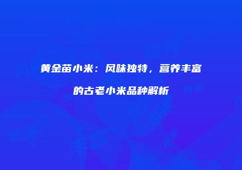 黄金苗小米：风味独特，营养丰富的古老小米品种解析