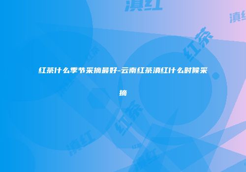红茶什么季节采摘最好-云南红茶滇红什么时候采摘