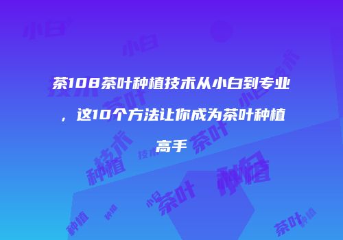 茶108茶叶种植技术从小白到专业，这10个方法让你成为茶叶种植高手