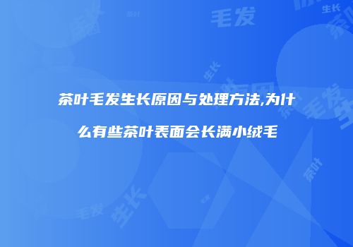 茶叶毛发生长原因与处理方法,为什么有些茶叶表面会长满小绒毛