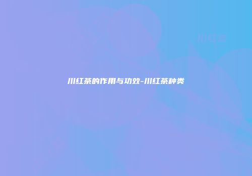 川红茶的作用与功效-川红茶种类