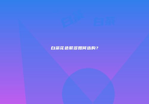 白茶花色繁多如何选购？