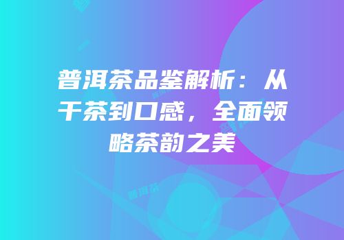 普洱茶品鉴解析：从干茶到口感，全面领略茶韵之美