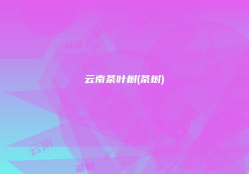 云南茶叶树(茶树)