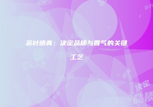 茶叶晒青：决定品质与香气的关键工艺