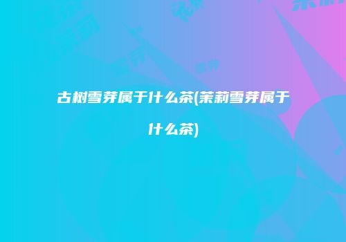 古树雪芽属于什么茶(茉莉雪芽属于什么茶)