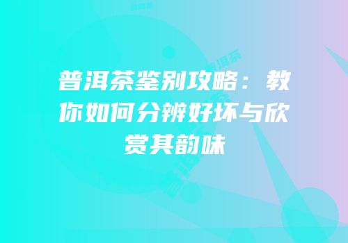 普洱茶鉴别攻略：教你如何分辨好坏与欣赏其韵味