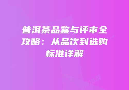 普洱茶品鉴与评审全攻略：从品饮到选购标准详解