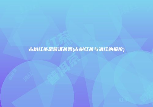 古树红茶是普洱茶吗(古树红茶与滇红的报价)