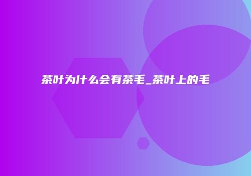 茶叶为什么会有茶毛_茶叶上的毛