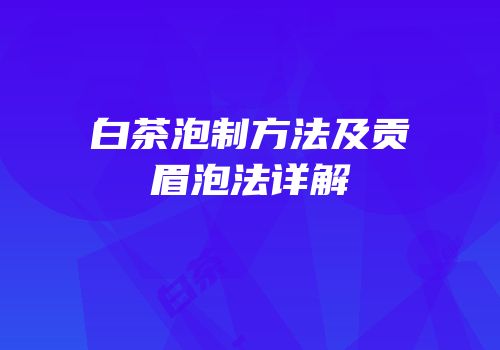 白茶泡制方法及贡眉泡法详解