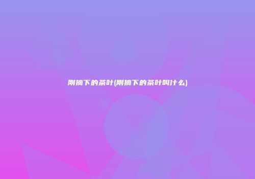 刚摘下的茶叶(刚摘下的茶叶叫什么)