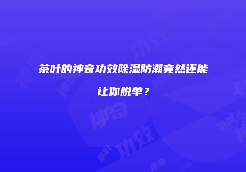 茶叶的神奇功效除湿防潮竟然还能让你脱单？