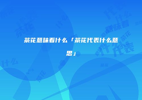 茶花意味着什么「茶花代表什么意思」