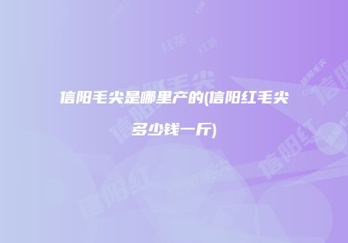 信阳毛尖是哪里产的(信阳红毛尖多少钱一斤)