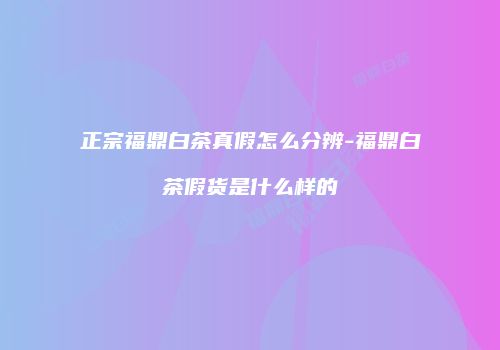 正宗福鼎白茶真假怎么分辨-福鼎白茶假货是什么样的