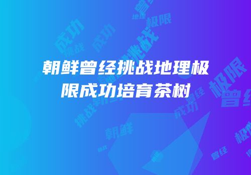 朝鲜曾经挑战地理极限成功培育茶树