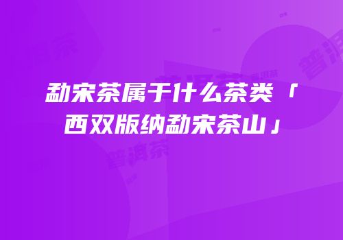 勐宋茶属于什么茶类「西双版纳勐宋茶山」