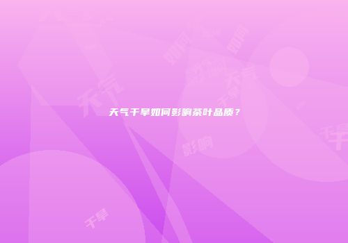 天气干旱如何影响茶叶品质？