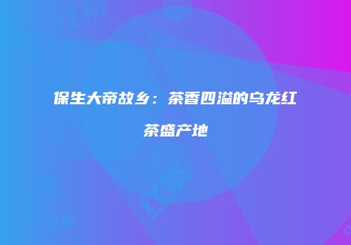 保生大帝故乡：茶香四溢的乌龙红茶盛产地