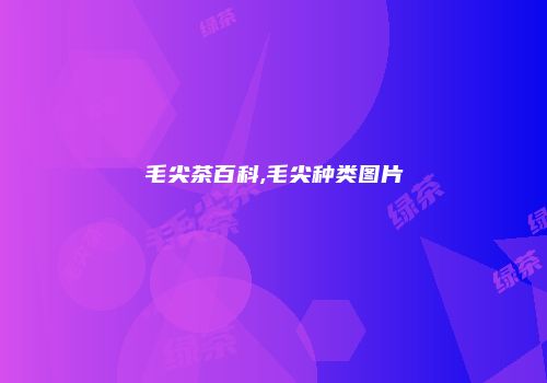 毛尖茶百科,毛尖种类图片