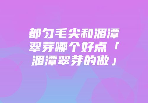 都匀毛尖和湄潭翠芽哪个好点「湄潭翠芽的做」