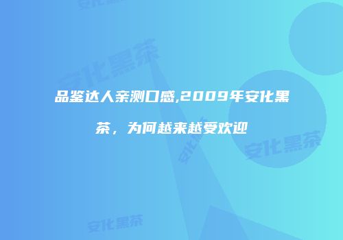品鉴达人亲测口感,2009年安化黑茶，为何越来越受欢迎