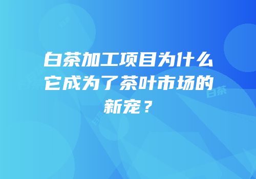 白茶加工项目为什么它成为了茶叶市场的新宠？