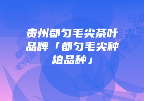 贵州都匀毛尖茶叶品牌「都匀毛尖种植品种」