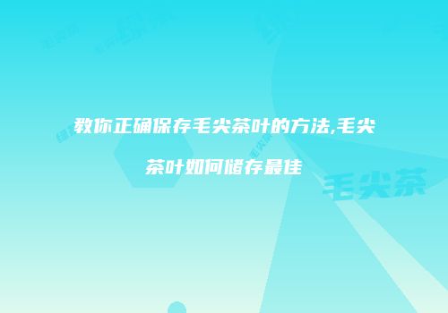 教你正确保存毛尖茶叶的方法,毛尖茶叶如何储存最佳