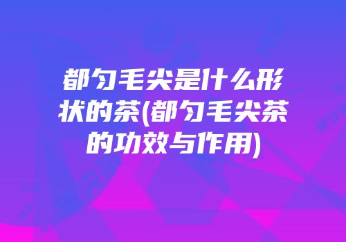 都匀毛尖是什么形状的茶(都匀毛尖茶的功效与作用)
