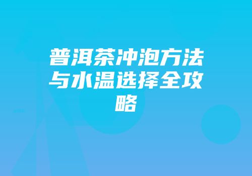 普洱茶冲泡方法与水温选择全攻略