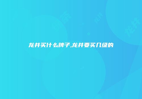 龙井买什么牌子,龙井要买几级的