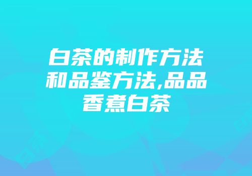 白茶的制作方法和品鉴方法,品品香煮白茶