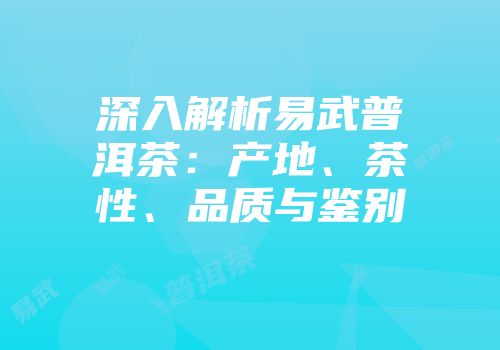 深入解析易武普洱茶：产地、茶性、品质与鉴别