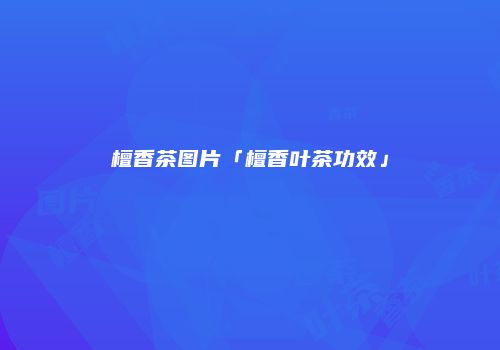 檀香茶图片「檀香叶茶功效」