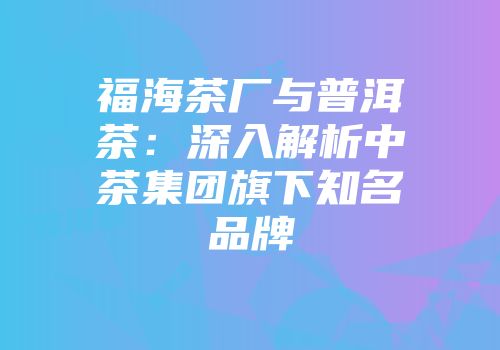 福海茶厂与普洱茶：深入解析中茶集团旗下知名品牌