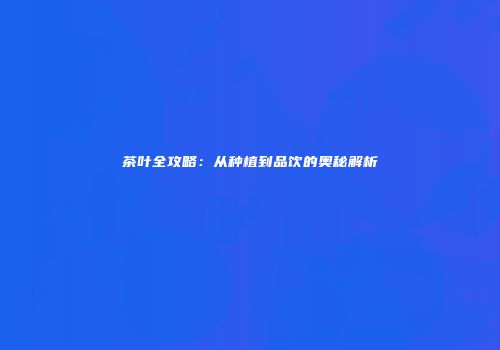茶叶全攻略：从种植到品饮的奥秘解析