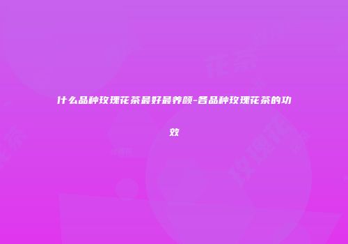 什么品种玫瑰花茶最好最养颜-各品种玫瑰花茶的功效
