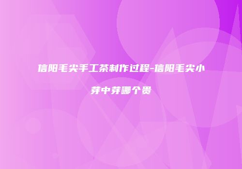 信阳毛尖手工茶制作过程-信阳毛尖小芽中芽哪个贵
