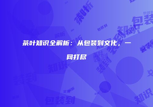 茶叶知识全解析：从包装到文化，一网打尽
