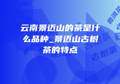 云南景迈山的茶是什么品种_景迈山古树茶的特点