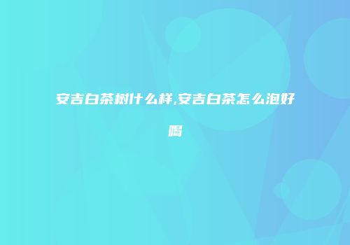 安吉白茶树什么样,安吉白茶怎么泡好喝