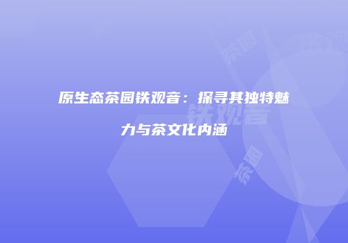 原生态茶园铁观音：探寻其独特魅力与茶文化内涵
