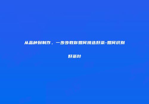 从品种到制作，一步步教你如何挑选好茶-如何识别好茶叶