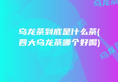乌龙茶到底是什么茶(四大乌龙茶哪个好喝)