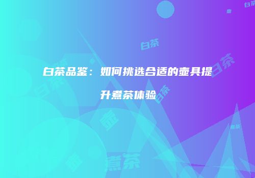 白茶品鉴：如何挑选合适的壶具提升煮茶体验